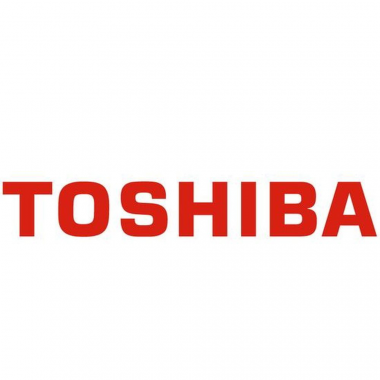 24-01-cat-toshiba.png